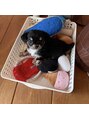 テンポフェリーチェ 浜松店(Tempo Felice)&nbsp;わんちゃん飼ってます