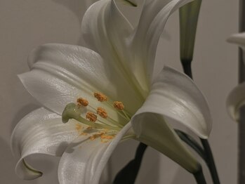 キュロン(quro.n)/quro.n flower