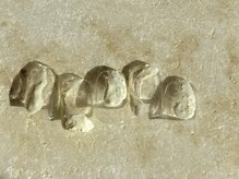 シトゥカ(situka)/シンプルネイル、素材ネイル