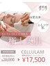 【自然の力で肌が変わる】艶肌☆美肌☆細胞活性化セルラム  ¥28,000→¥17,500