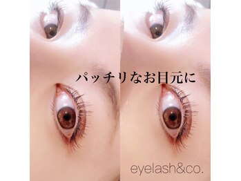 アイラッシュアンドコー(eyelash&co.)