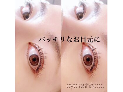 アイラッシュアンドコー(eyelash&co.)の写真
