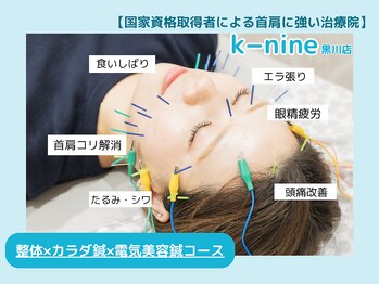 ケーナイン(K-nine)