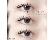 ピーコック(peacock)の雰囲気（まつげパーマ/パリジェンヌ/マツエク/眉毛）