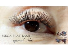 アイネイル ナッツ(Nuts)/MEGAFLATLASH☆100束