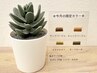 【8月限定】4色から選べるフラットラッシュカラー120本まで　￥5900