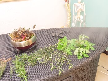 ギンザ ビコウ(GINZA 美KOU)/生ハーブと食用ハーブ