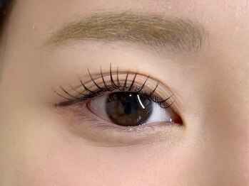 ルシェオ 表参道(LUCIEO)/フラットラッシュ