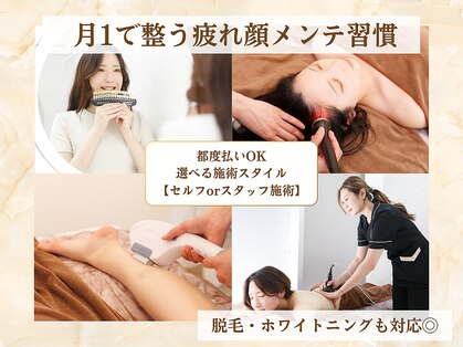 ミスティア(mistia)の写真