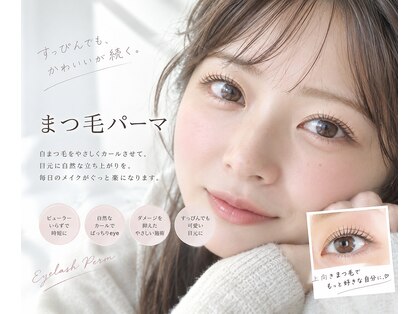 ニコ(nico)の写真