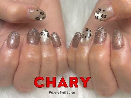 チャーリー(CHARY)の写真