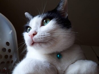 キレイ(KIREI)/海苔巻君