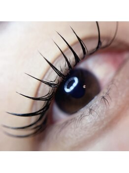 アンドエー(and...A)/フラットラッシュ