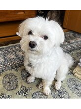 マルーチン(MALCHIN)&nbsp;uni 