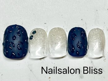 ネイルサロンブリス(nail salon Bliss)/定額シンプルアートコース￥5500