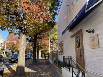 リーフ(LEAF)/秋の店舗前