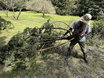 ニフ 新宿三丁目(nifu)/林地残材の回収