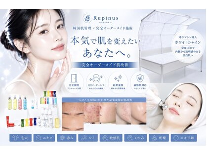 ルピナス ロッポンギ(Rupinus ROPPONGI)の写真