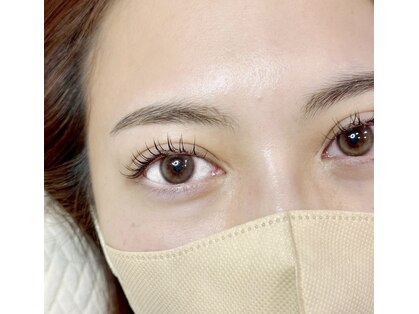 ラスター(LUSTER)の写真