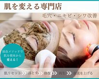 シーズン(Season)