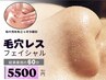 【鼻の黒ずみ集中】毛穴レスコース￥5500