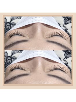 グラシア 刈谷店(GRACIA)/シングル0.1 &nbsp;120本 