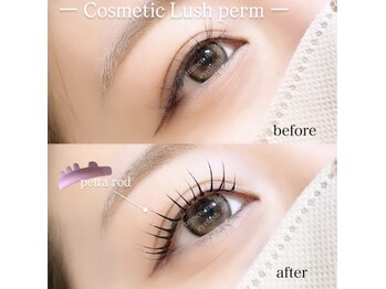トランスモード アイラッシュ/Cosmetic Lashperm