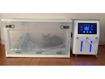 ヨサパーク ナナ(YOSA PARK Nana)/ワンちゃん・ネコちゃんにも!