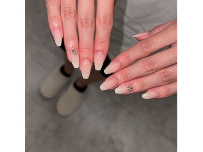 リリー(Lily)の写真