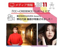 シミケア専門店 SAKURA 平塚店/シミケアプログラム