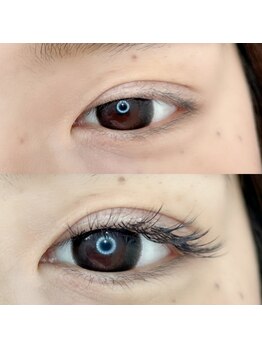 ルピナス(Lupinus)/LEDボリュームラッシュ600本