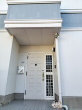 エキナセア(echinacea)/