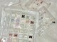ランドネイル 天神(LANDNAIL)の写真/【トレンド×可愛い×上品】厳選したトレンドカラーと種類豊富なかわいいパーツで理想の手元へ！満足度◎