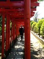 肩こり解消処 ハンモック(Hammock)&nbsp;近隣の根津神社の連続鳥居。稲荷神社へと誘ってくれます。
