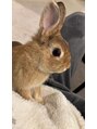 レッツ 新瑞橋店(LET’s)&nbsp;ウサギを飼っています＾＾