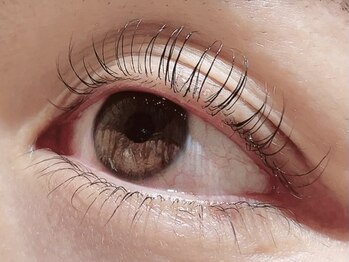 カラン 焼津店(CALIN)/上下ラスティングカール