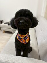 アマリリス なんば本店(Amaryllis)&nbsp;スタッフ 