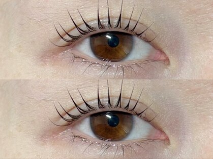 モン(mon)の写真