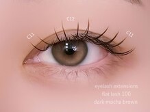 シエル(Ciel)/フラットラッシュ100本