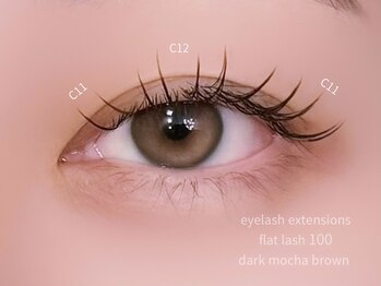 シエル(Ciel)/フラットラッシュ100本