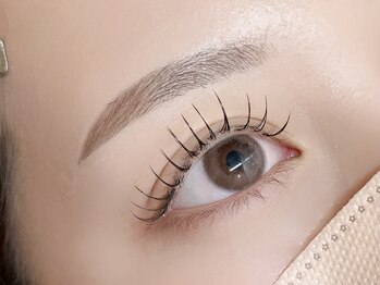 ネリネ 博多(nerine)/パリエク100本