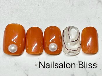 ネイルサロンブリス(nail salon Bliss)/定額シンプルアートコース￥5500