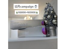 ペルシャ(Persian)