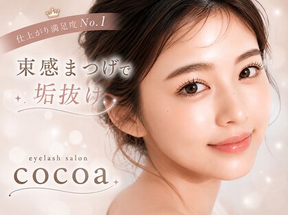 ココア(cocoa)の写真