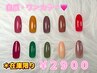 ≪お試し≫自爪★冬色ワンカラー　10種　￥2,900