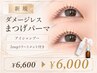 【豪華!】ダメージレスまつげパーマ+アイシャンプー+2stepTR付¥6600→¥6000
