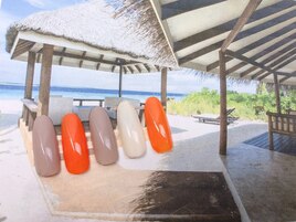 夏先取り　ビタミンワンカラー