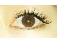 フラワー(Flower)/新フラットラッシュセーブル