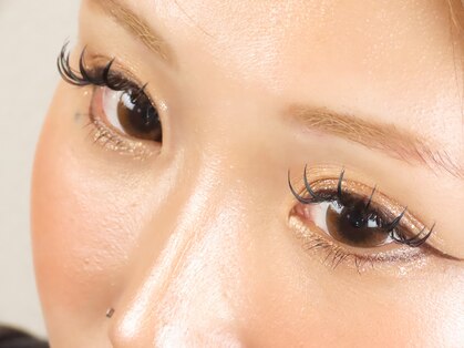 アンシシ(ANSISI)の写真