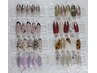 【ネイル】定額デザインネイル　Ｂコース ￥6500